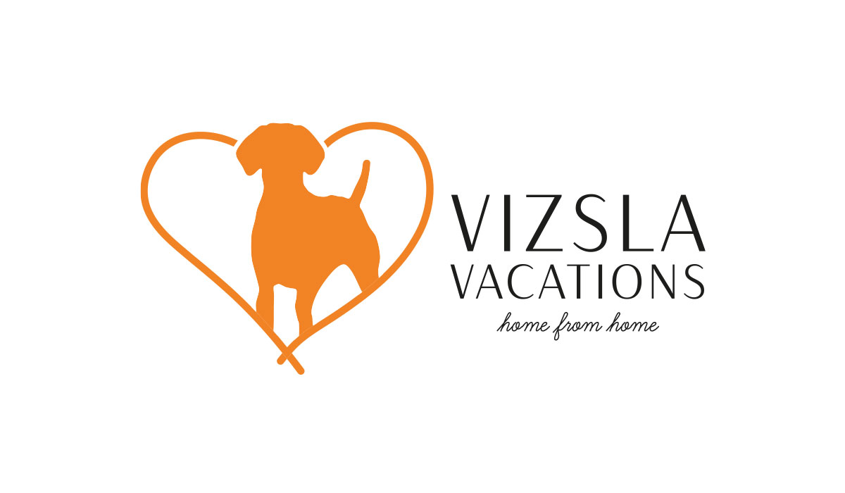 Branding Design VV Logo